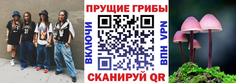 сайты даркнета формула  Лаишево  Псилоцибиновые грибы GOLDEN TEACHER 
